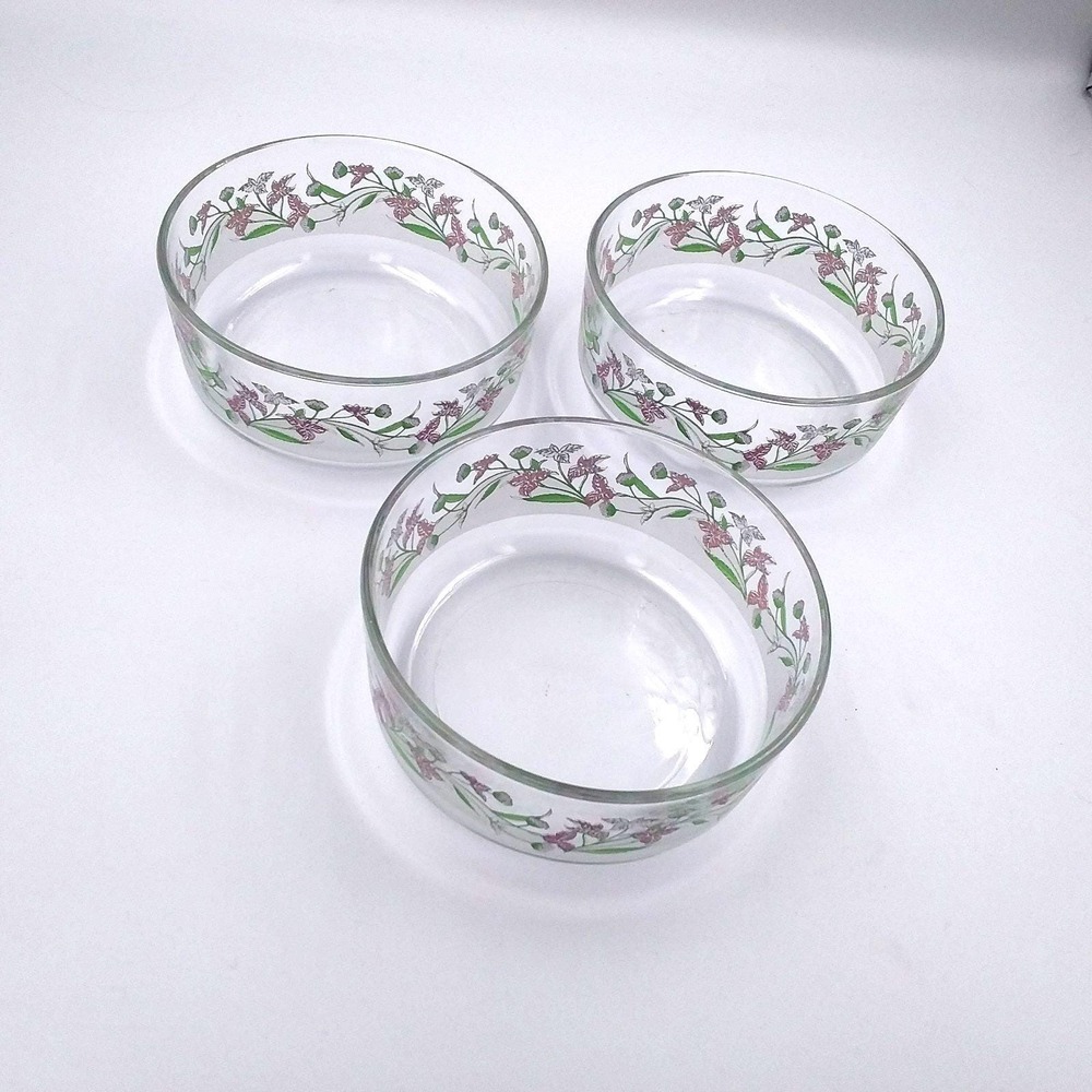 Set of 3 Bormioli Rocco Italy Clear Floral Glass Bowls 4.75" Pastel Frosted Band